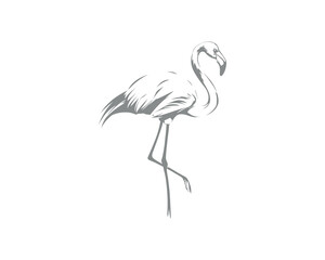 Obraz premium Elegant black and white line art of a flamingo standing on one leg, minimalist wildlife illustration