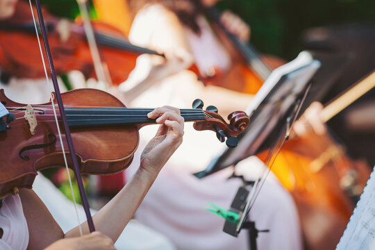 In a serene garden, talented musicians passionately play their string instruments, filling the air with enchanting melodies as the summer sun casts a warm glow