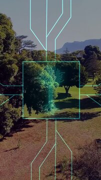 Vertical video: Neo cyan square popping over mid tree, circuits forming roots, beams pulsing for AI
