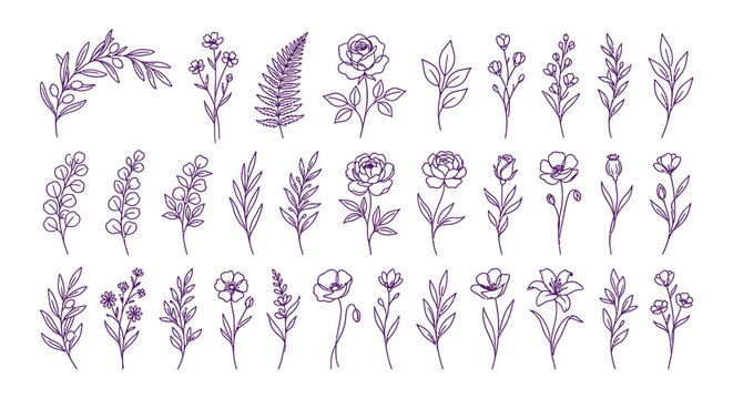 Handdrawn Ditsy Floral Element Sketch Collection, Various Flower and Plant Doodle Illustration