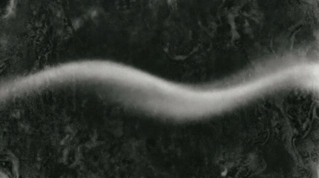 Wide atmospheric composition featuring soft grayscale modulation with charcoal depth, abstract grainy, black white dark monochromatic dynamic noise poster, website header or wallpaper, a smooth