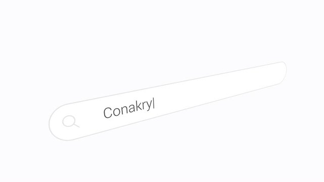 Searching Conakry on the Browser - Close Up