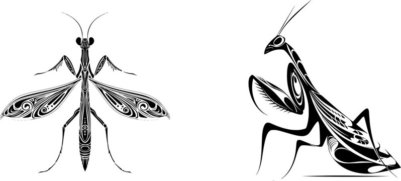 A bold Art Nouveau praying mantis with intricate black patterns on a solid white background, isolated against a flat 2D surface for vectorization