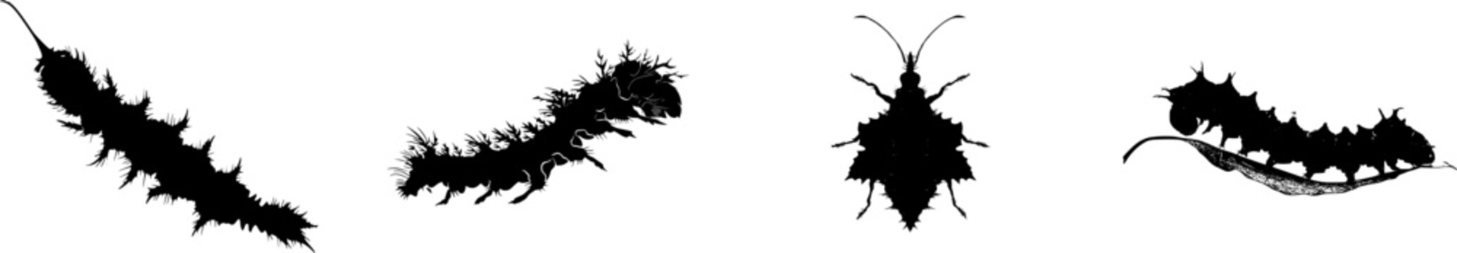 A detailed larval case of a bagworm moth showcases a stark black silhouette against a pure white background, with crisp high contrast edges and minimalist stencil design for perfect tracing