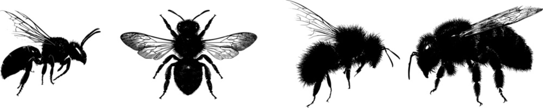A detailed mason bee nesting profile in a stark black silhouette, rendered in a flat vector style with crisp high contrast edges, isolated on a pure white background for minimalist stencil design