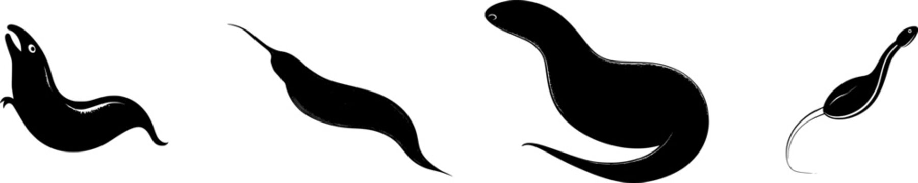 A detailed planarian flatworm split head, stark black silhouette, in a minimalist stencil design with crisp high-contrast edges isolated on pure white background
