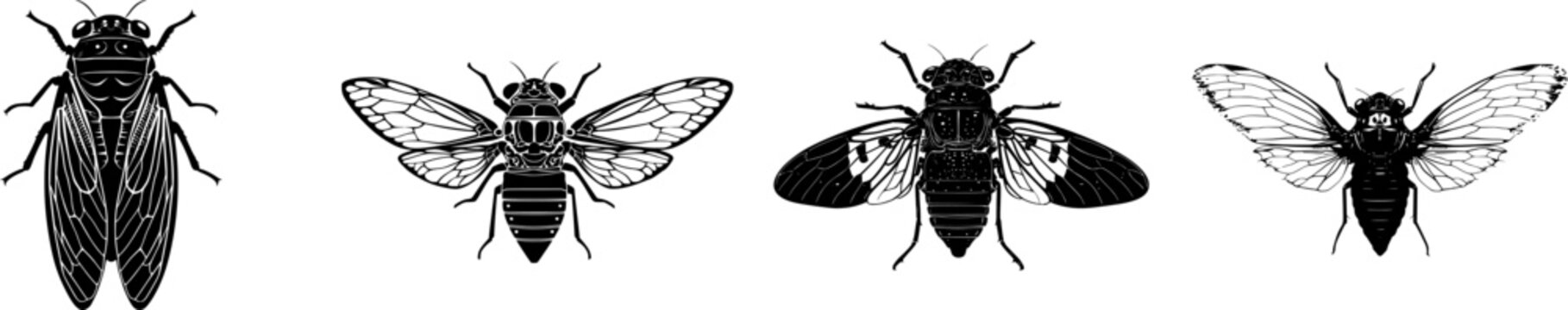 A detailed periodic cicada illustration with bulging eyes, stark black silhouette, flat vector style, isolated on pure white background, crisp high contrast edges, minimalist stencil design, perfect