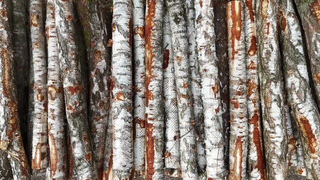 Birch tree trunks stacked closely together, showcasing the distinct white bark and rough texture, with variations in color and pattern visible across the surface in a natural setting