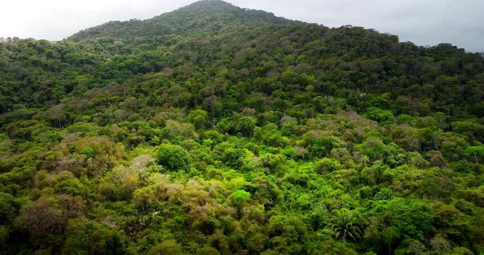 Lush tropical forest and mountain terrain in Tayrona National Park, Colombia. Ideal for travel, nature, conservation and landscape themes, cinematic aerial reveal