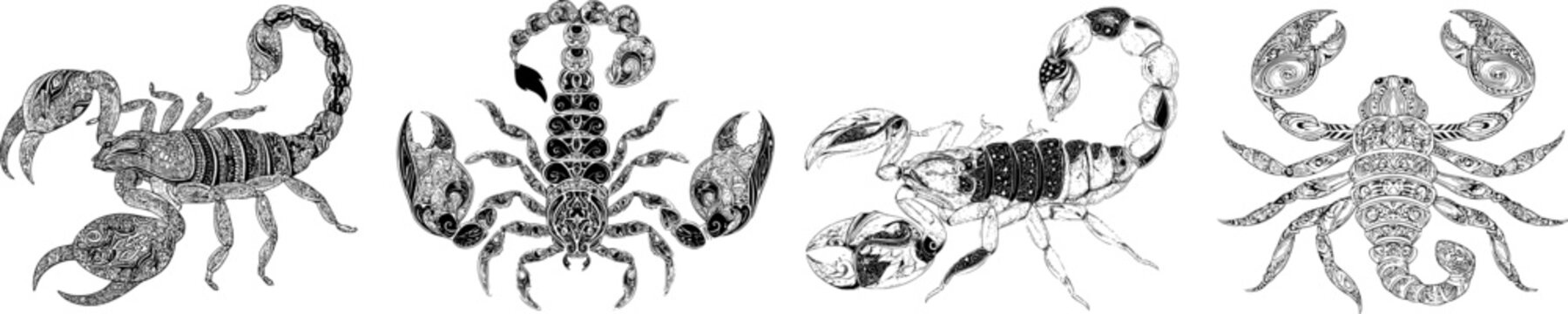 A detailed Zentangle-style scorpion with ornate tail patterns, sharp black ink outline, solid white background, monochrome coloring book style, clear boundaries, flat 2D graphic design, exuding a