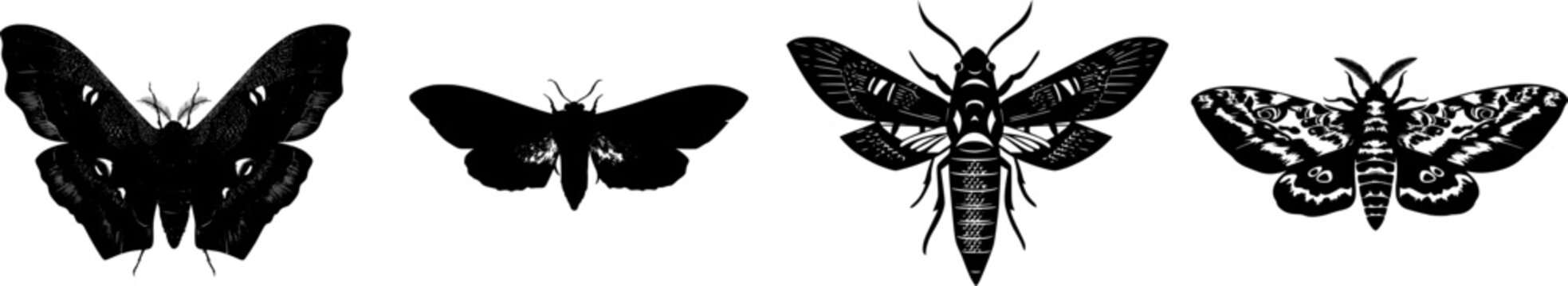 A stunning cecropia moth illustration in a flat vector style, showcasing its elegant black silhouette against a pure white background with crisp high contrast edges