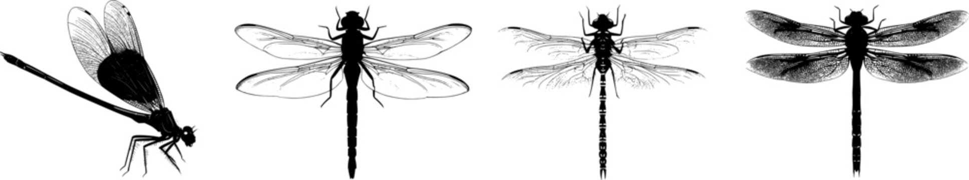 A sleek dragonfly naiad larva in stark black silhouette, flat vector art, isolated on pure white background with crisp high contrast edges, minimalist stencil design ready for tracing