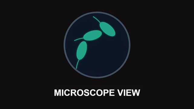A microscopic view of green bacteria cells floating inside a circular laboratory observation frame