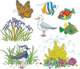 Obraz premium Butterfly flying over beautiful wildflowers, seagull, tropical fishes, corals and lapwing among grass on seashore, a set of vector cartoon illustrations isolated on a white background