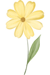 Obraz premium Colorful Watercolor Flower Isolated Soft Floral Illustration with Delicate Petals and Natural Stem