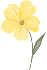 Obraz premium Colorful Watercolor Flower Isolated Soft Floral Illustration with Delicate Petals and Natural Stem