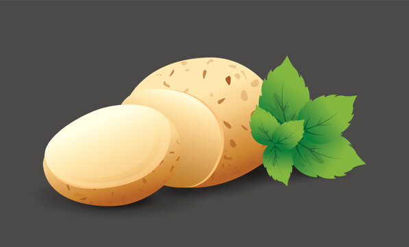 Potato with leaves, Fresh organic vegetable in flat style,  vector illustration.