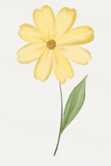 Obraz premium Colorful Watercolor Cosmos Flower Isolated, Soft Floral Illustration with Delicate Petals and Natural Stem On White Paper