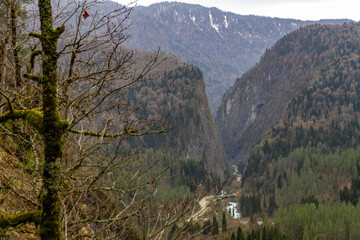 Breathtaking high angle view of the deep Iupshara canyon from Chabgar cornice. Winding road and mountain river at the bottom of steep rocky cliffs covered with pine forest in spring. Abkhazia. © Vlad Rakin