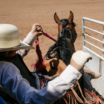 Cowboy preparing to ride horse in rodeo chute, western action