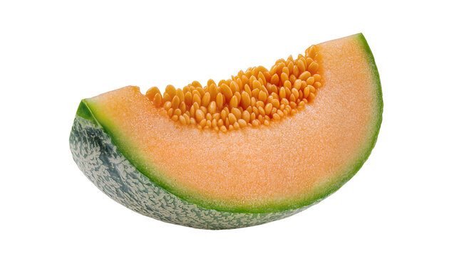 Cantaloupe Melon Slice with Textured Rind and Orange Flesh