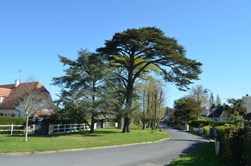 Colleville-Montgomery (Calvados - Normandie - France) © david-bgn