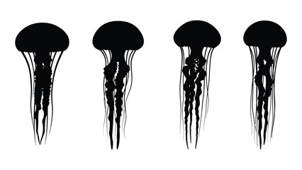 Four black silhouette jellyfish illustrations against a stark white background © Payara