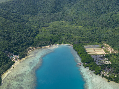 Aerial view of turquoise waters meeting lush green forests and sandy shores, a harmonious blend of nature's beauty, Karimunjawa, Central Java, Indonesia.