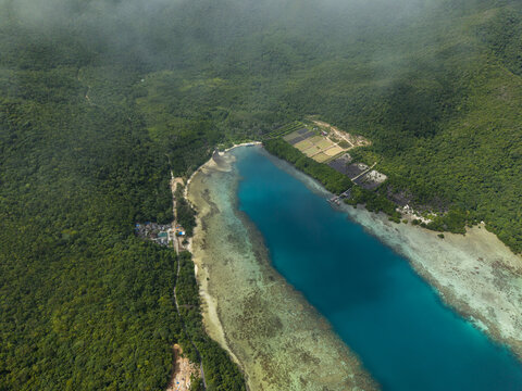 Aerial view of the turquoise waters meeting the vibrant green forests, a coastal embrace of nature's diverse palette, Karimunjawa, Central Java, Indonesia.