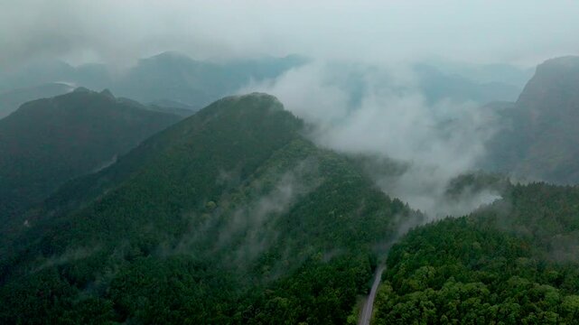 Aerial view of fog and dark green forest Rich natural ecosystem, rainforest in Alishan Mountain, Taiwan.