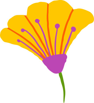 Abstract hand drawn stylized yellow flower head. Colorful botanical and floral spring and summer doodles series