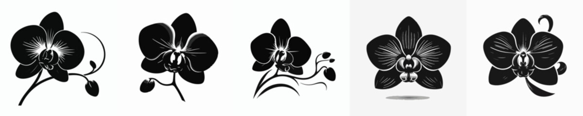 Vector silhouette of Orchid flower © FirdianKrisna