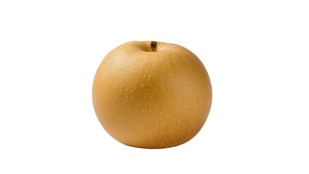 Golden Asian Pear Fruit with Stem and Subtle Speckling