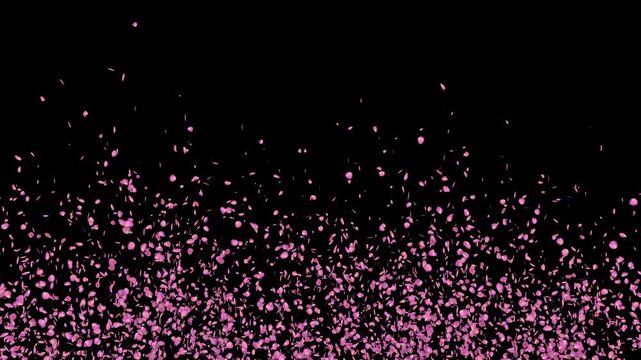 勢いよく舞い上がり、舞い落ちる大量の桜の花びら、4K画質の背景透過素材