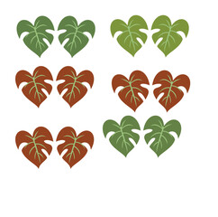 Set of splitleaf philodendron leaves in green and brown © Vooglo.com