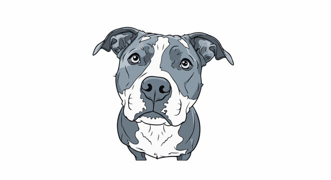 A close-up, cartoon-style illustration of a pit bull dog's head
