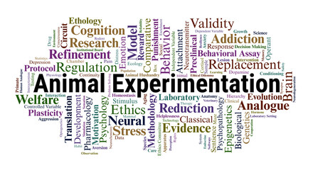 Fototapeta premium Animal Experimentation Word Cloud. Exploring Behavioral Paradigms, Neural Mechanisms, Ethical Frameworks, and Preclinical Models within the Global Psychology Research Landscape.
