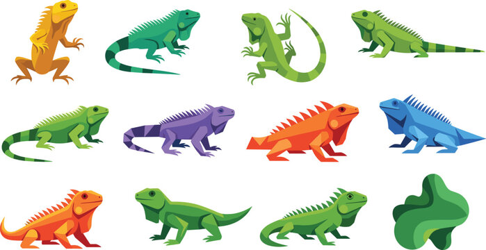 Iguana Lizard Vector Set Colorful Reptile Animal Collection Illustration