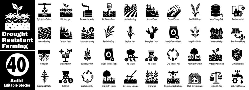 Drought resistant farming glyph icons, solid editable stocks collection.