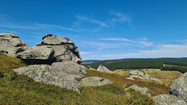 Les for&ecirc;ts couvrant les sommets des monts de la Margeride vues l'&eacute;t&eacute; depuis le Signal du Randon (Auvergne, France)
