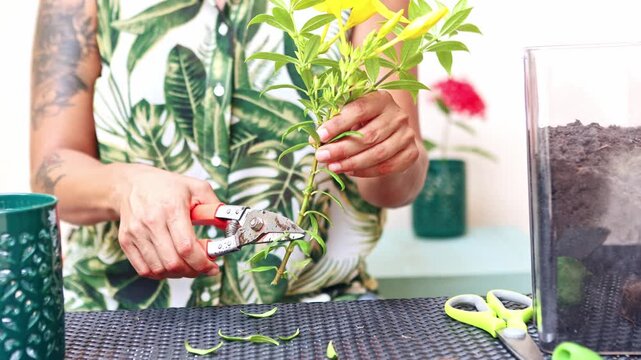 Tattooed woman pruning a houseplant branch with shears