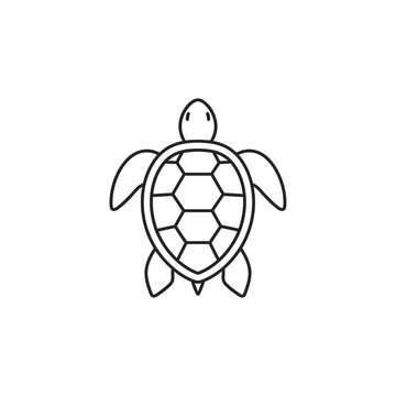 Turtle Shell Line Drawing Animal.
