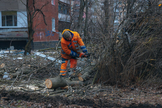 Municipal worker in orange reflective uniform using a chainsaw to clear a fallen tree. Cleanup process and recovery works in a residential area after an urban disaster or storm.