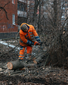 Municipal worker in orange reflective uniform using a chainsaw to clear a fallen tree. Cleanup process and recovery works in a residential area after an urban disaster or storm.