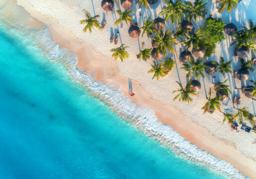 Aerial drone view of umbrellas, palm trees on white sandy beach of Indian Ocean at sunset. Summer in Zanzibar island, Africa. Tropical landscape with walking people, blue water, waves. Top down view