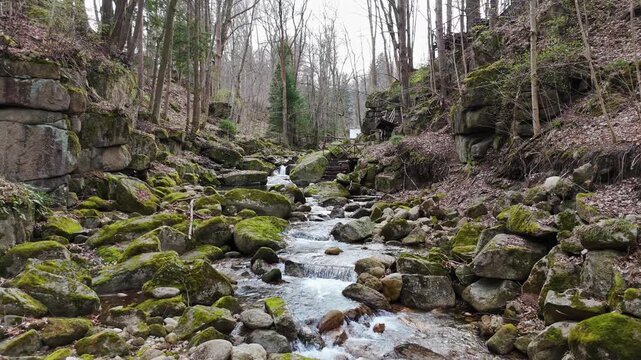 a mountain stream of crystal clear cool spring fresh water flows among stones and rocks in a pine forest