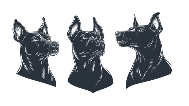 Artistic vector illustration of three dog head portraits in a monochrome color palette