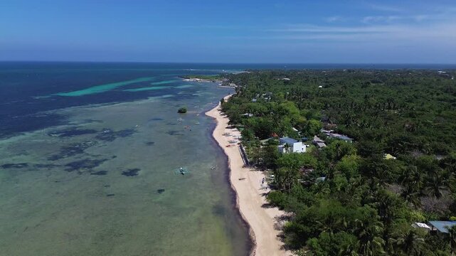 Aerial view of a pristine tropical beach with palm trees and turquoise water surrounded by dense green vegetation creating a peaceful and untouched coastal landscape on Bantayan Island Philippines