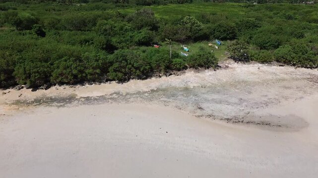 Aerial view of traditional Bangka boats resting on green grass near a tropical beach surrounded by dense vegetation creating an unusual coastal scene on Bantayan Island Philippines.
Untouched Nature.