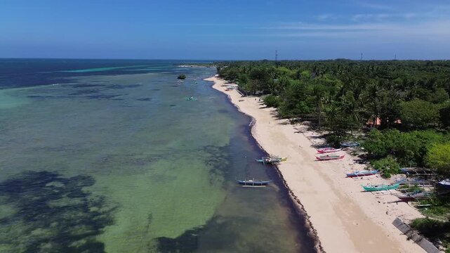 Aerial view of a pristine tropical beach with palm trees and turquoise water surrounded by dense green vegetation creating a peaceful and untouched coastal landscape on Bantayan Island Philippines